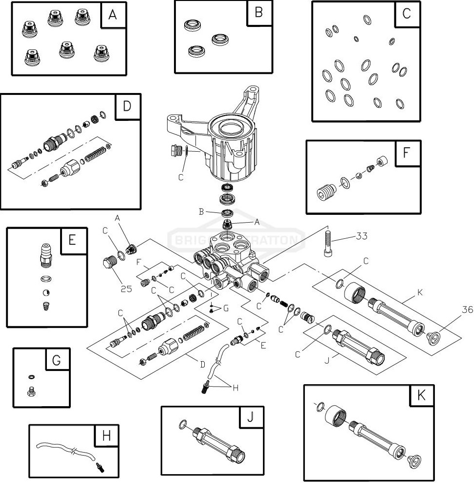 BRUTE 020290-00 pump breakdown & parts